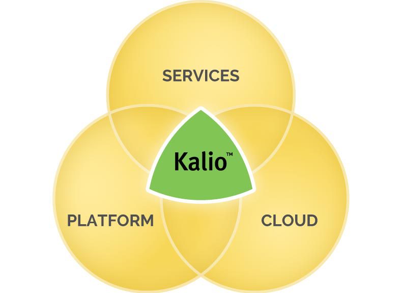 Kalio's power of one — professional services, ecommerce platform, and cloud hosting & managment all in one